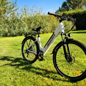 fiido Ebikes