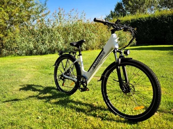 fiido Ebikes